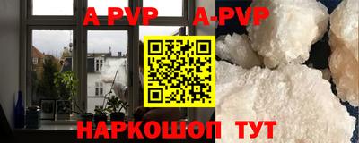 индика Пенза