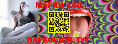 индика Пенза