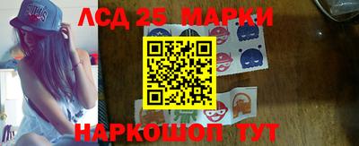 индика Пенза