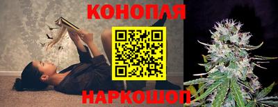 индика Пенза
