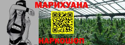 индика Пенза