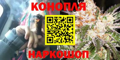 индика Пенза
