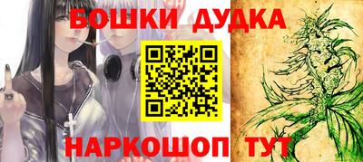 индика Пенза